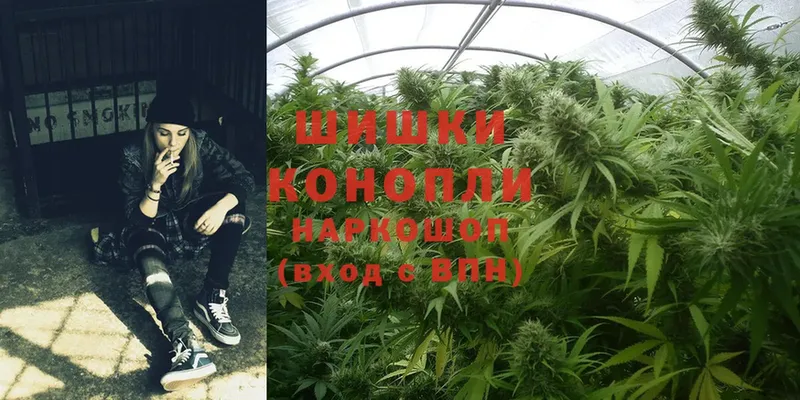 Каннабис Ganja  цена   Сатка 